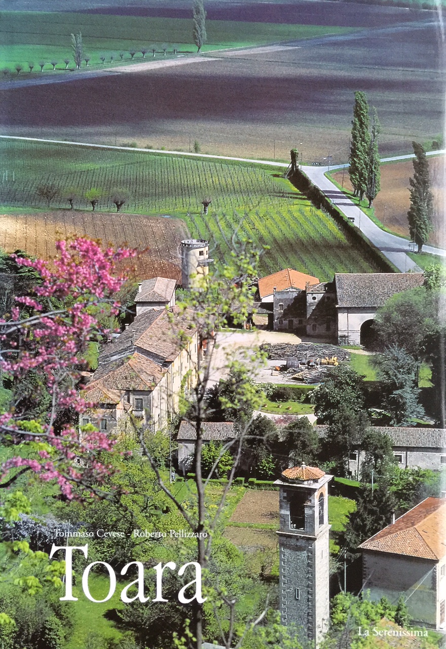 Tommaso' vineyard in Veneto