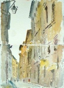 Via di Spirito Santo, Firenze