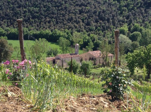 The newly restored Chiesa Del Carmine